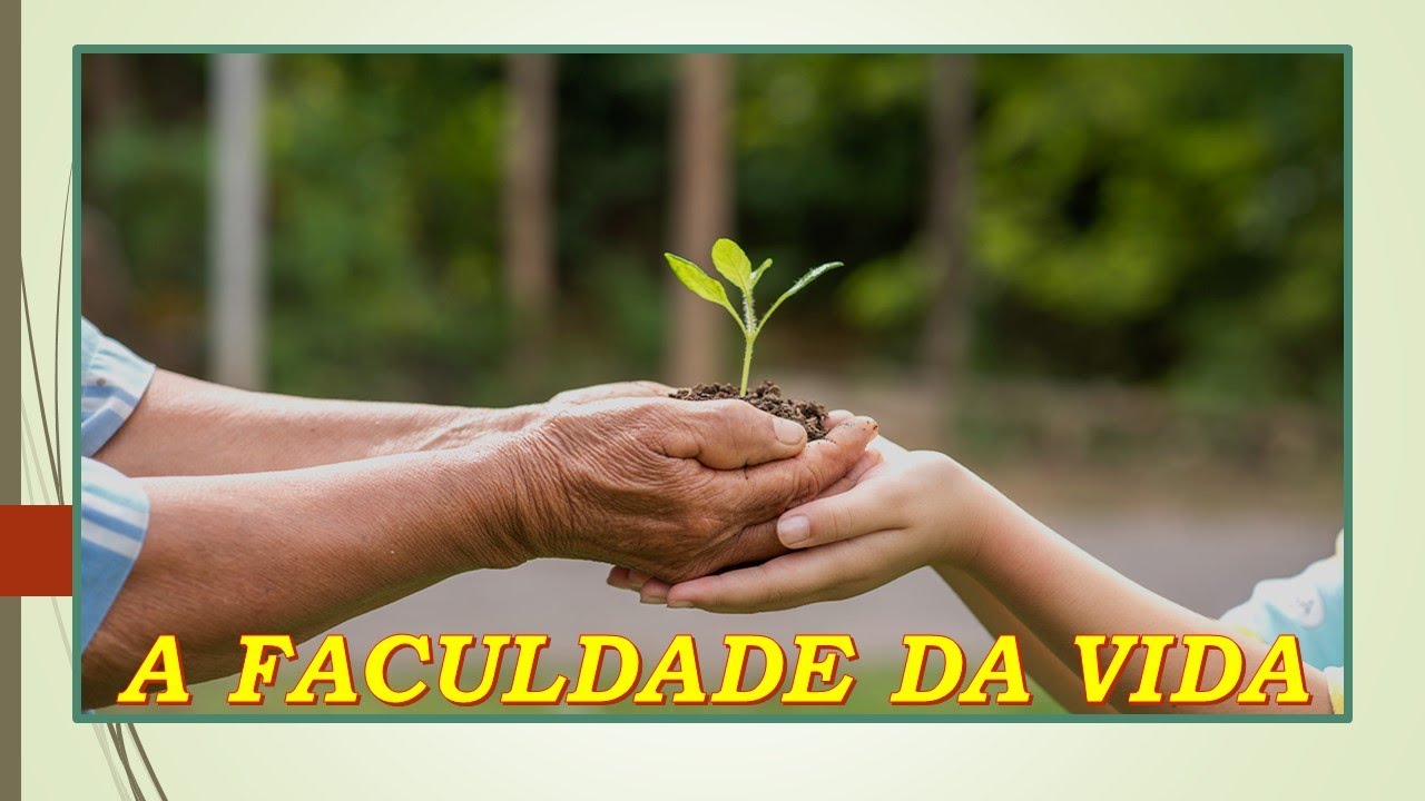 A FACULDADE DA VIDA ***** THIAGO VIOLA (Em duas Vozes) - Autores - Jorge Neves / Thiago Viola