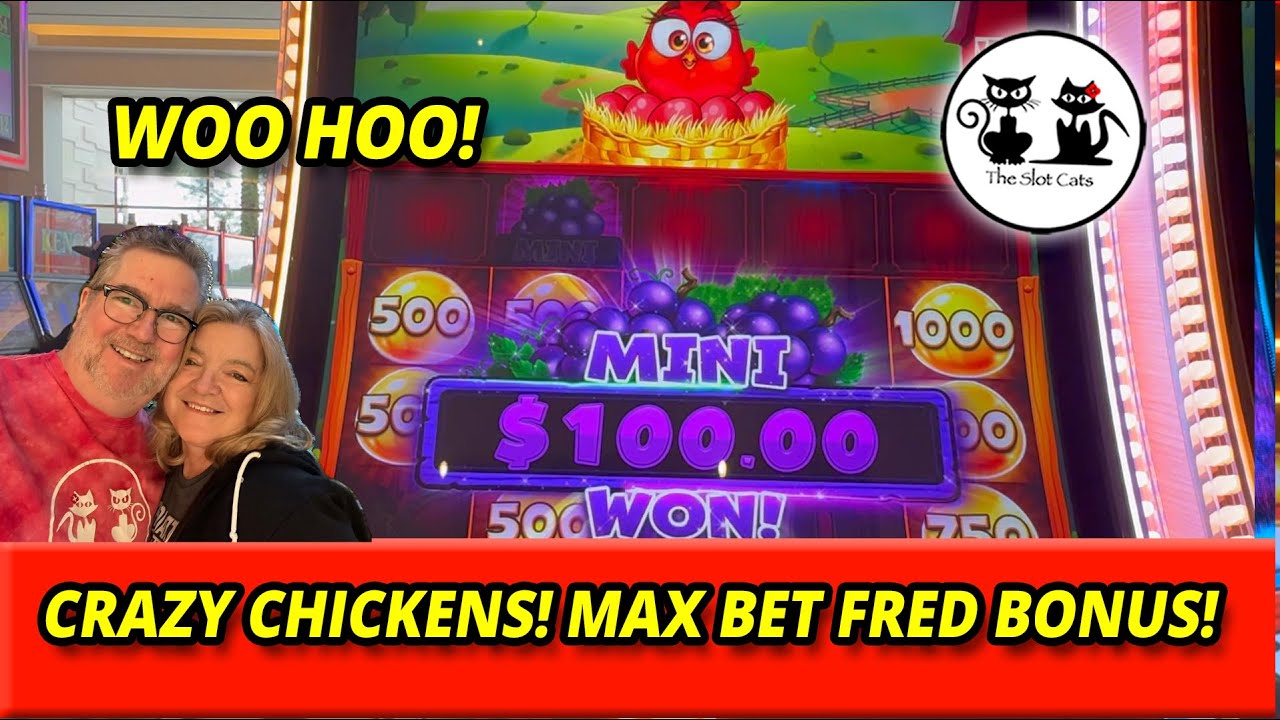 Играем в слот Crazy Chickens! Выигрываем крупную сумму на максимальной ставке! #theslotcats #бону...