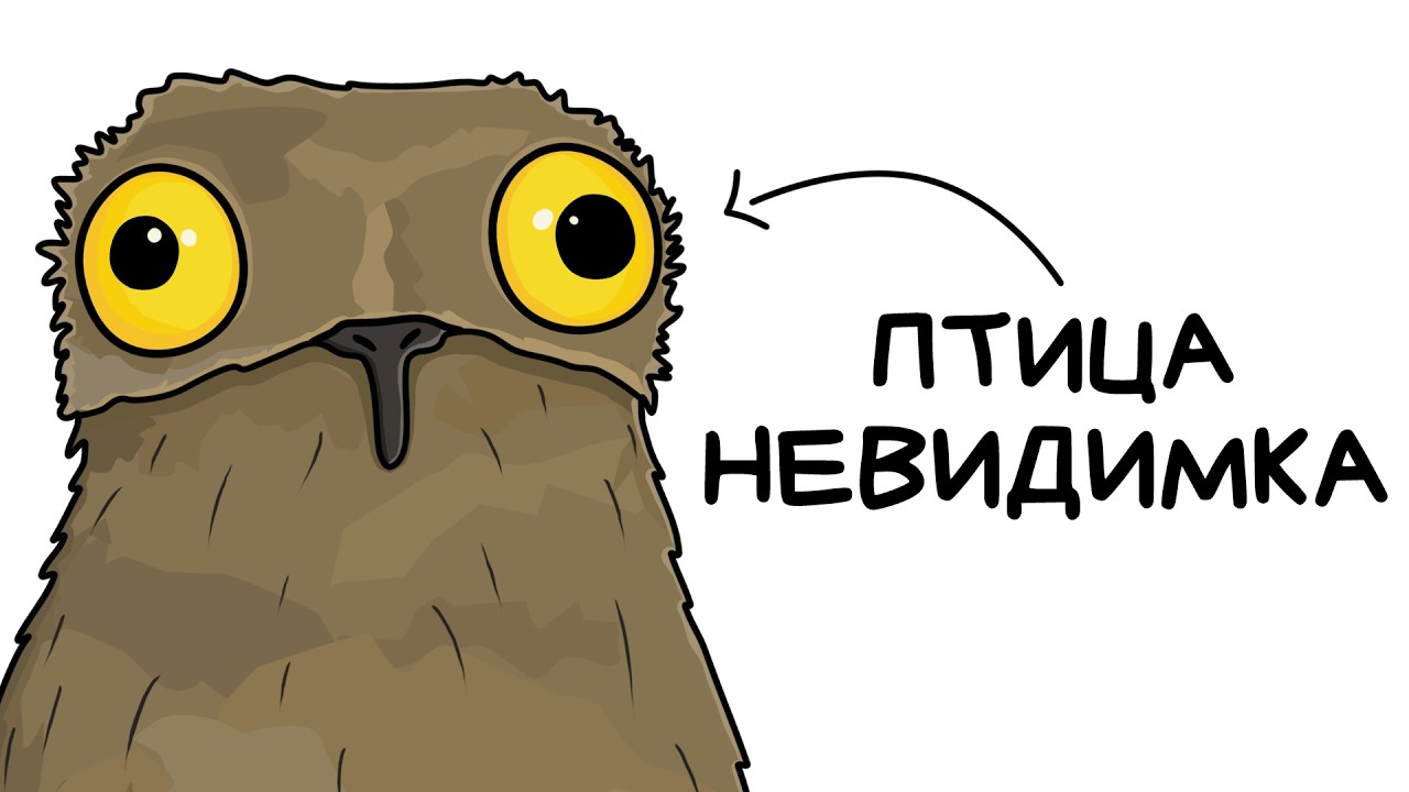 Ты — Исполинский Козодой (И ЭТО ВСЯ ТВОЯ ЖИЗНЬ)