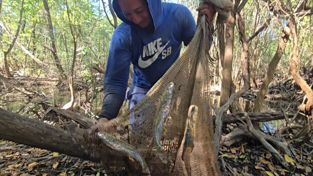 🛑 pescando 🎣con la tarralla en los puentes del icacal