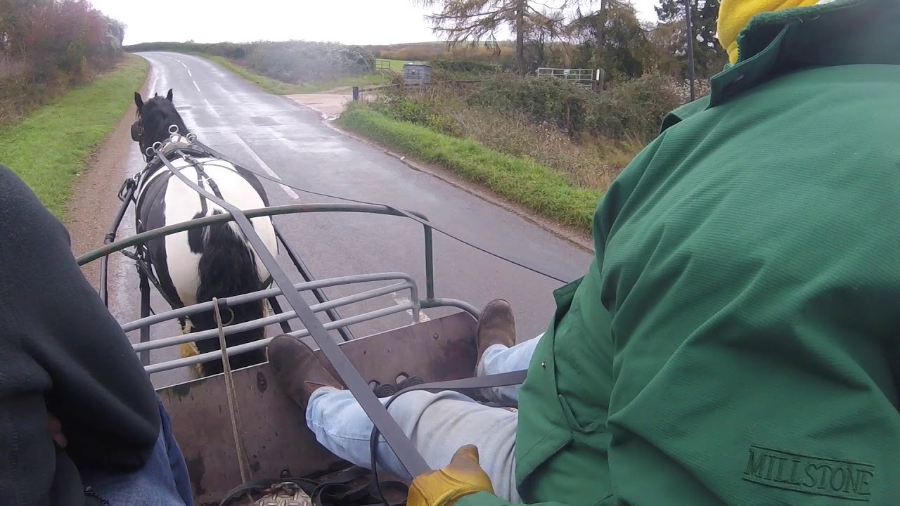 Traditional Cob, Untraditional Driving Methods