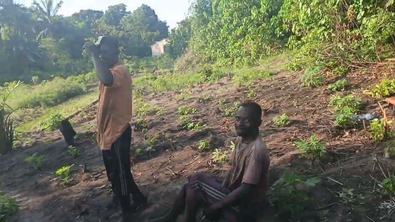 2 hectares résidentielle à vendre dans la c/maluku q/kimpoko 20000$ à discuter +243810217497