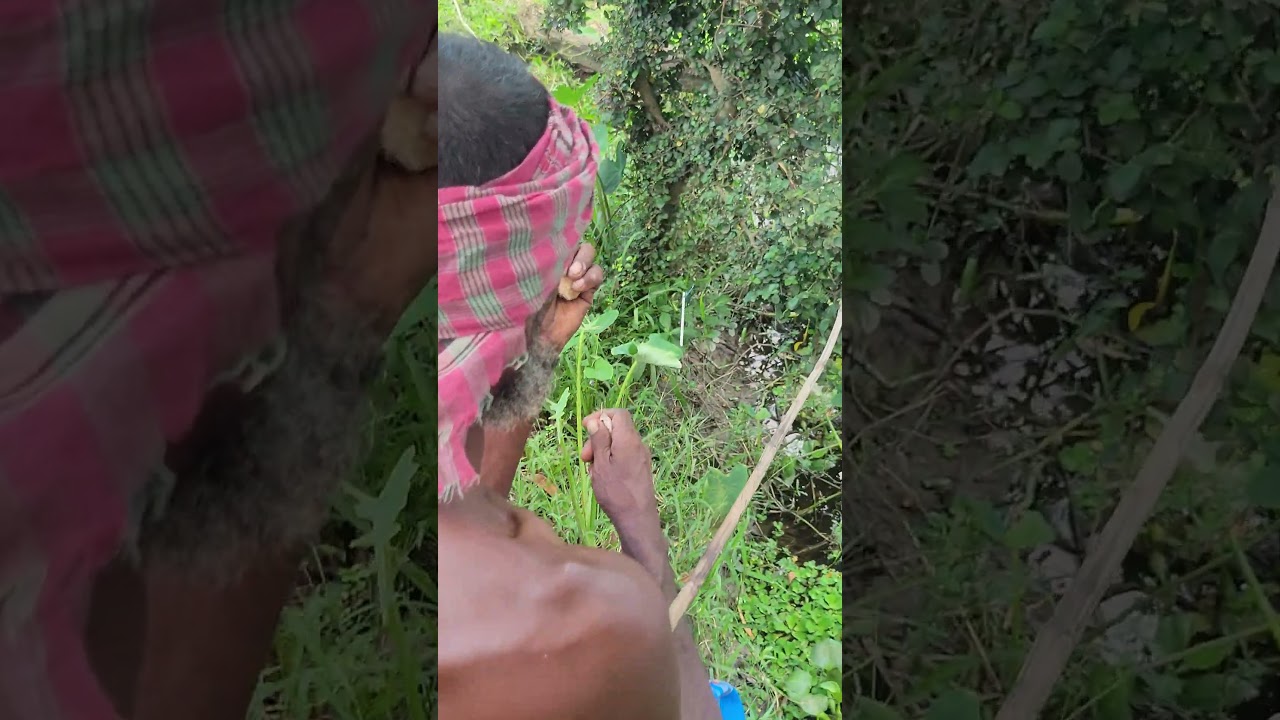 The Ultimate Fishing Skill! 🐟 Catching Big Fish Like a Pro! 🌊💪