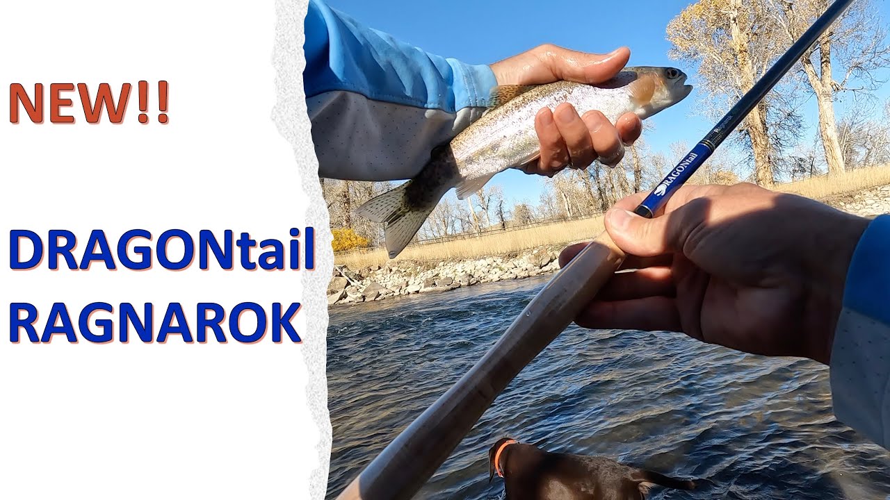 Testing the NEW DRAGONtail RAGNAROK 400.