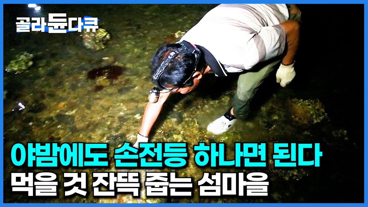 야밤에 조명 하나로 먹을 것 쓸어담는 섬마을. 한번 들어오면 재밌어서 못 나간다는 이유 ｜한국기행｜#골라듄다큐
