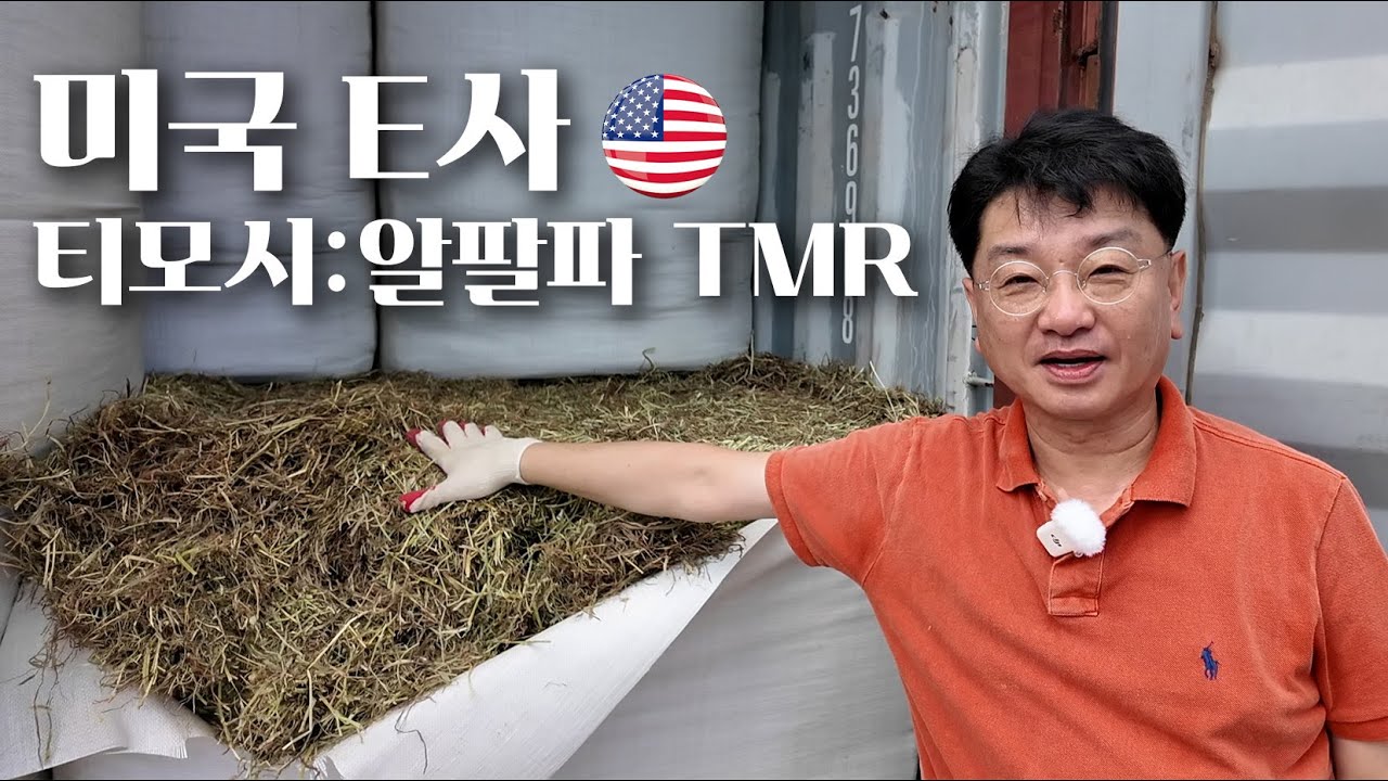 미국 E사 티모시:알팔파 TMR | 한우 육성기에 추천합니다!