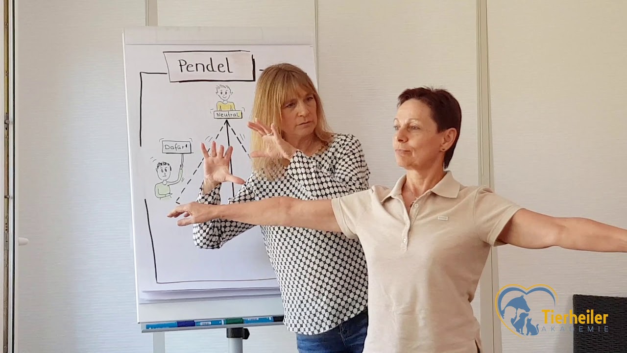 Tierheiler Akademie Seminare