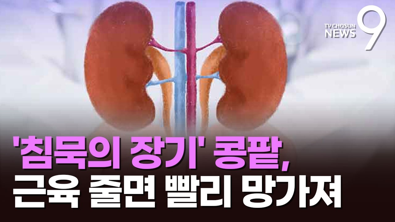 근육 줄면 콩팥 빨리 망가진다…악화 위험성 4.5배 [뉴스9]