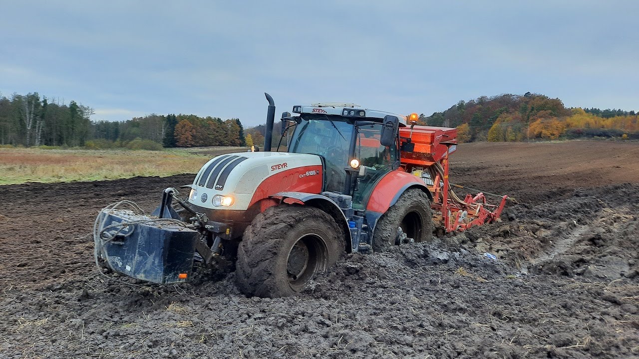 ☆Wtopa!!!??☆Oporowe Siewy Pszenicy z Norbertem!!!☆Steyr 6185 CVT&  Kverneland Accord s-drill PRO 3m☆