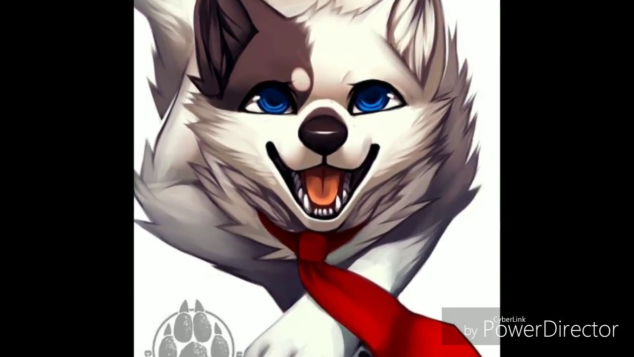 Anime wolves - familiar