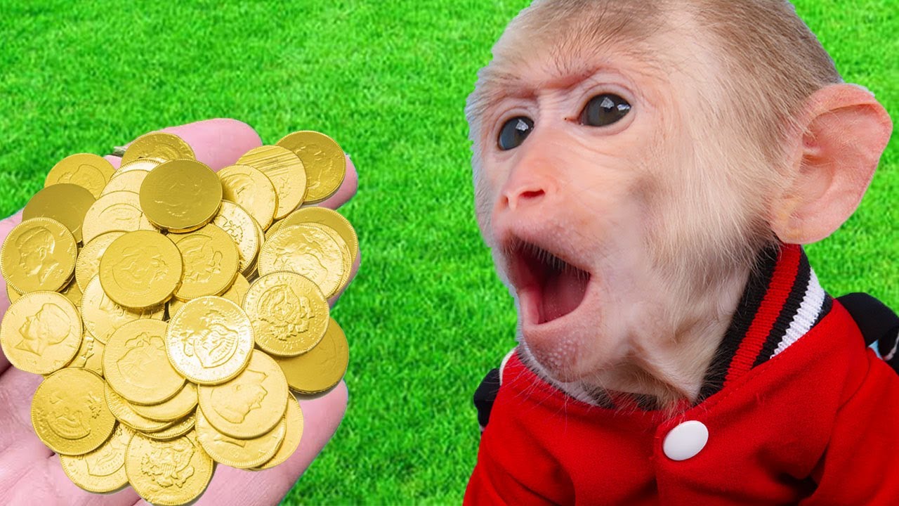 Monkey Baby BiBi funniest animals Crocodile so funny