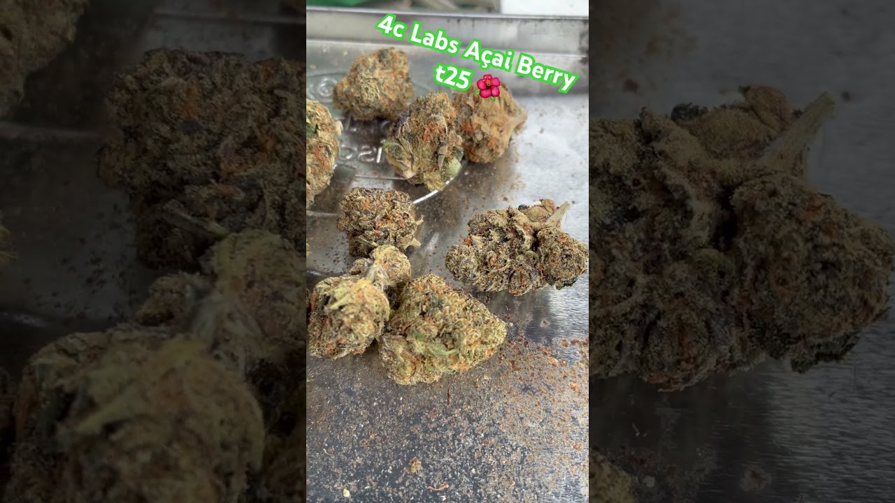 4c Labs A&ccedil;ai Berry t25 🌺 #medicalcannabis #painrelief #ukmedicalcannabis #cannabisheals