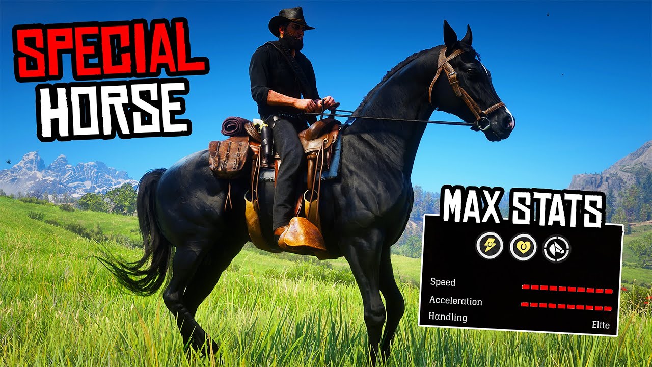 Как получить Special BLACK ARABIAN все еще РАБОТАЕТ (Braithwaite Arabian) - RDR 2