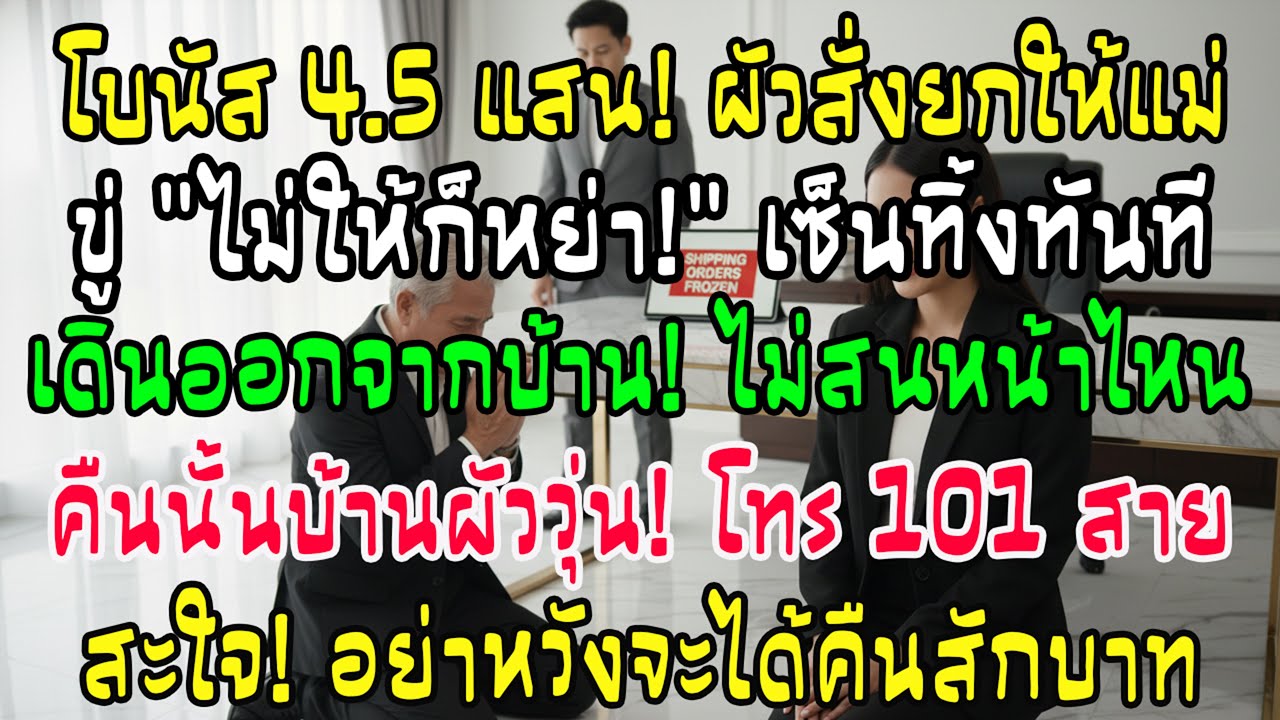 หลังเซ็นหย่า ฉันสั่งระงับออเดอร์ทั้งหมด พ่อผัวที่เคยเหยียดหยามต้องรีบคุกเข่ากราบกรานขอชีวิต