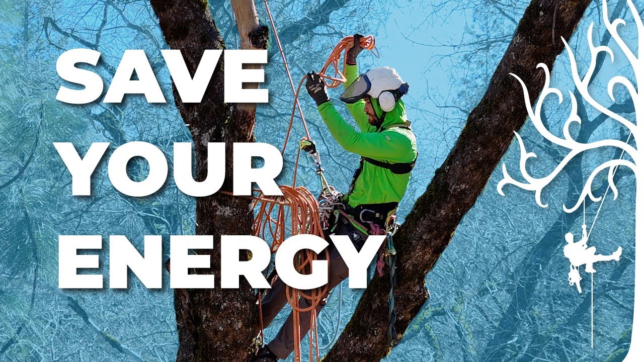 Rope Tricks for Tree Climbers: