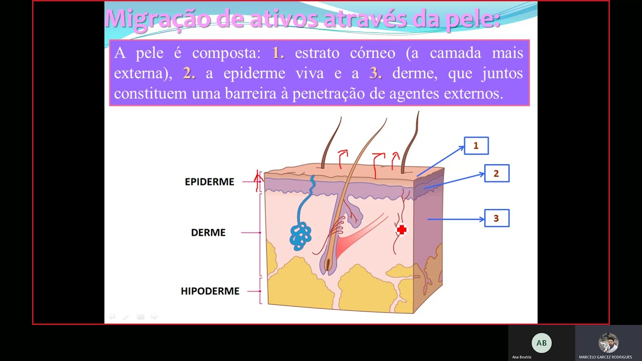Tecnologia Farmacêutica - Migração de ativos através da pele