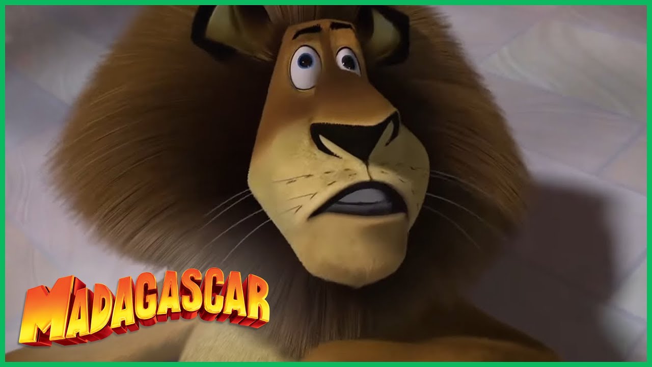 DreamWorks Madagascar em Português | Momentos engraçados de Alex |  Desenhos Animados
