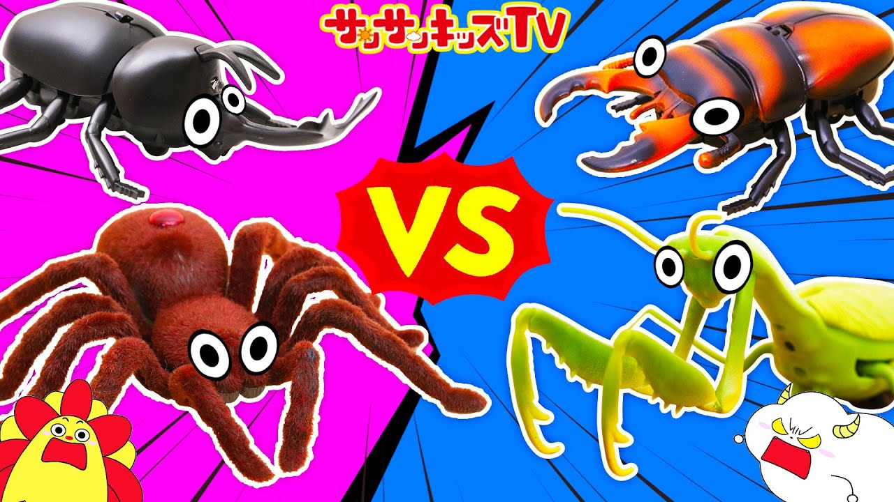 昆虫対決！カブトムシや巨大クモやクワガタが大ゲンカ！一番強いのはだれだ〜！？虫取り採集・子供向け知育教育★サンサンキッズTV★