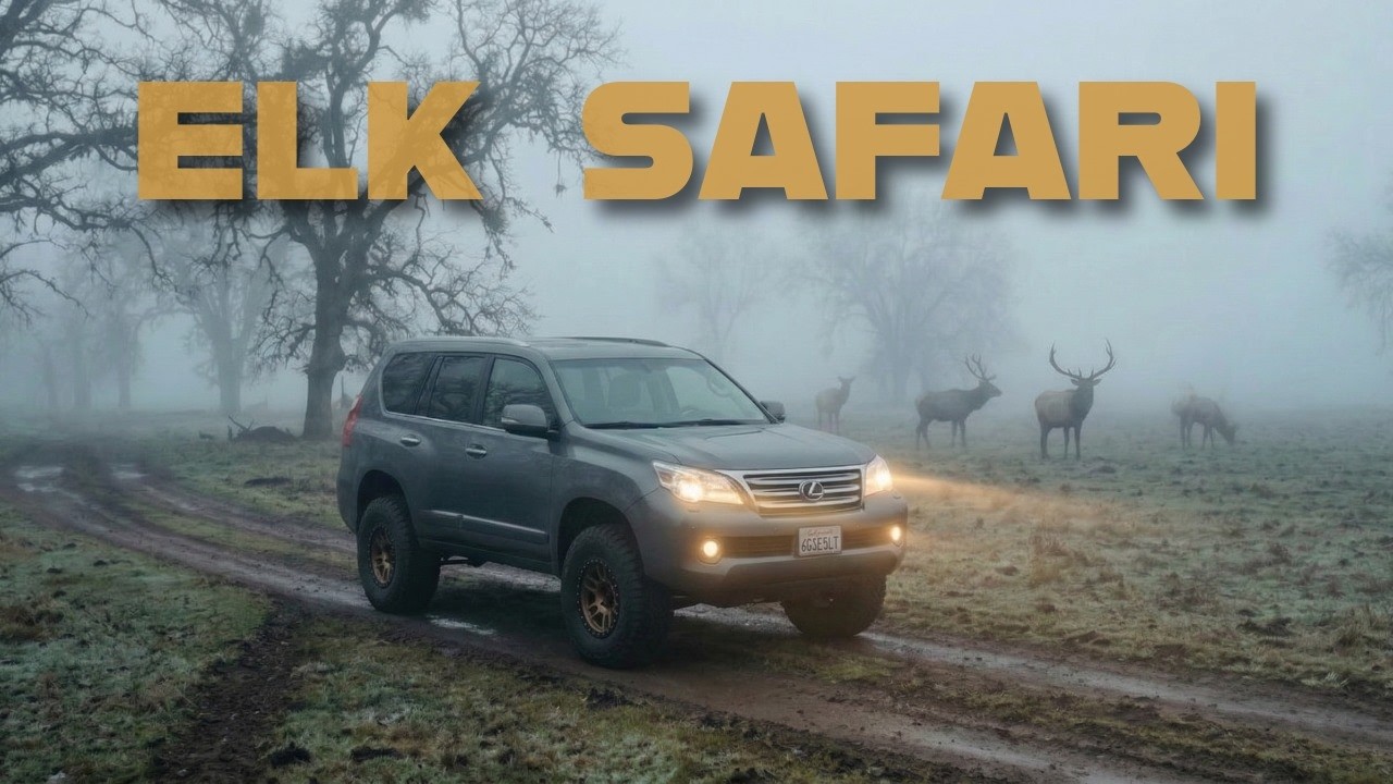 Fog & Ghosts: An Overlanding Safari thru Northern California