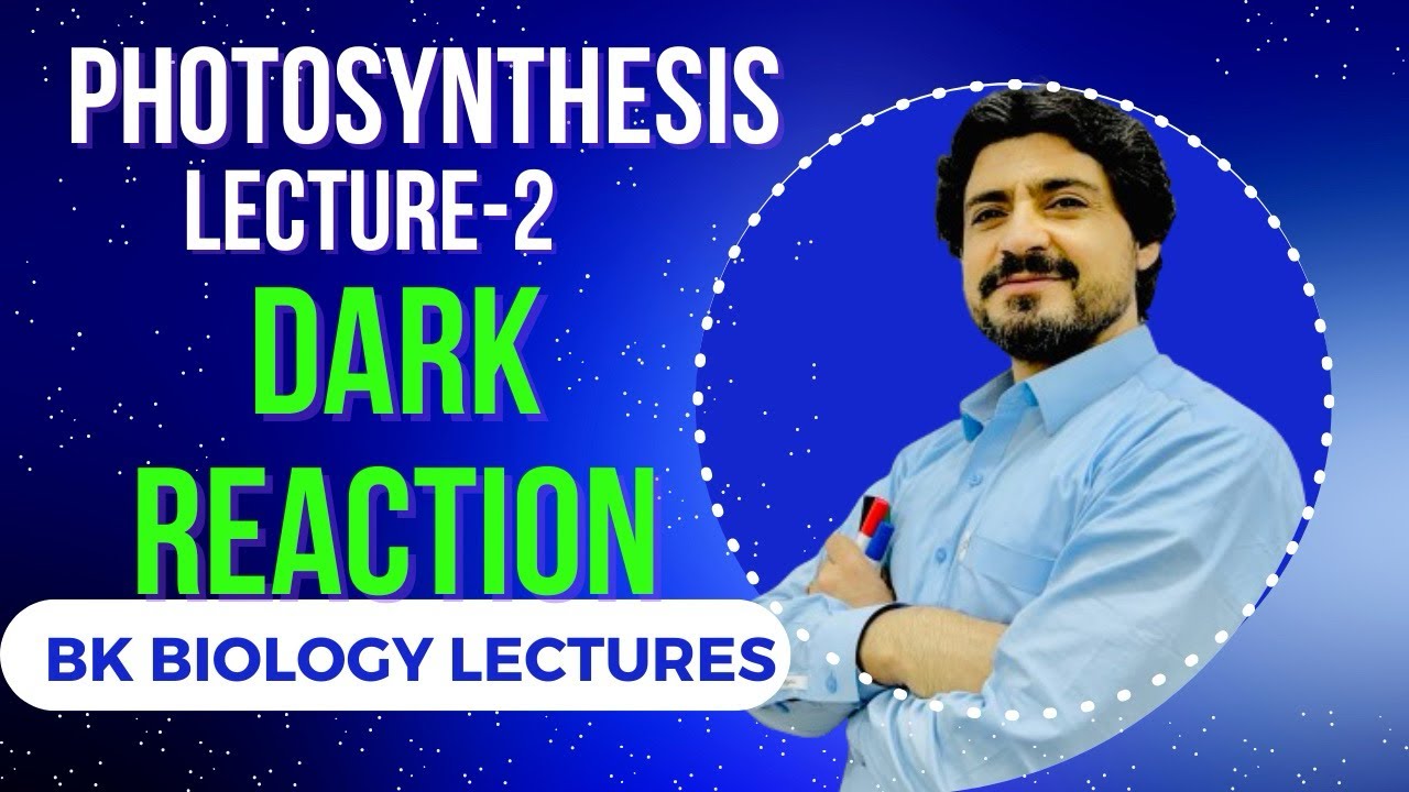 MDCAT BIOLOGY | DARK REACTION | PHOTOSYNTHESIS #calvincycle #photosynthesis