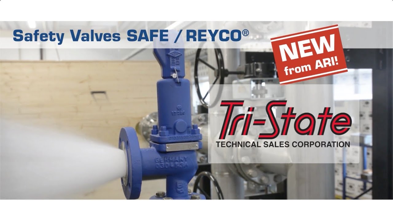 ARI-REYCO Safety Relief Valves from ARI Armaturen