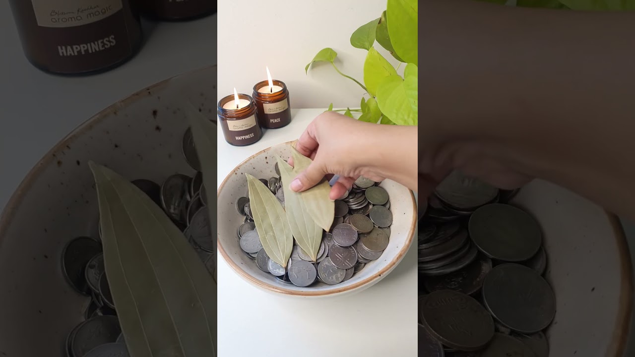 Attract Wealth with Money Bowl | #shorts #lawofattraction #money #abundance #vastu #selfgrowth