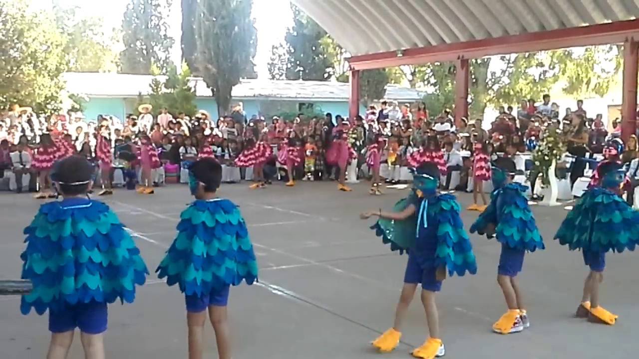 Bailable Vengan las aves