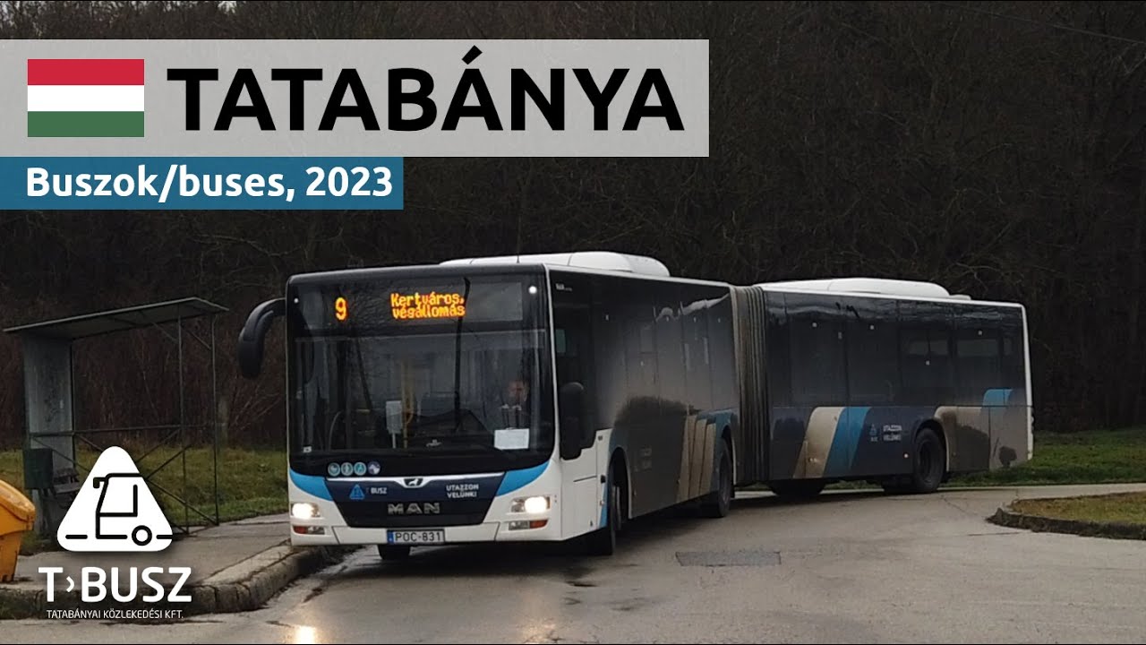 Автобусы в Татабанье. Венгрия - 2023 | T-Busz [4K]