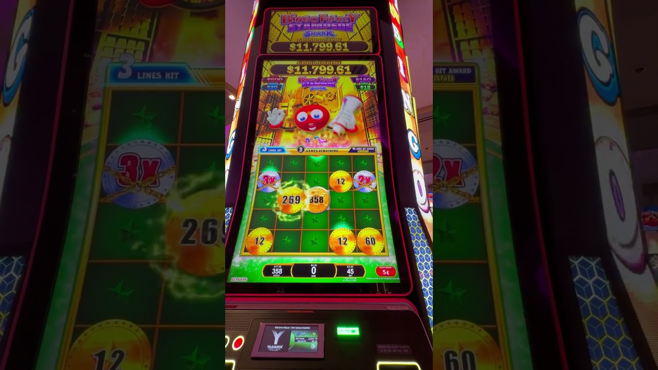 100$ to ? 🤩 Bonus feature #slotmachine #slotscasinogames #bingo #casinoslots #slot