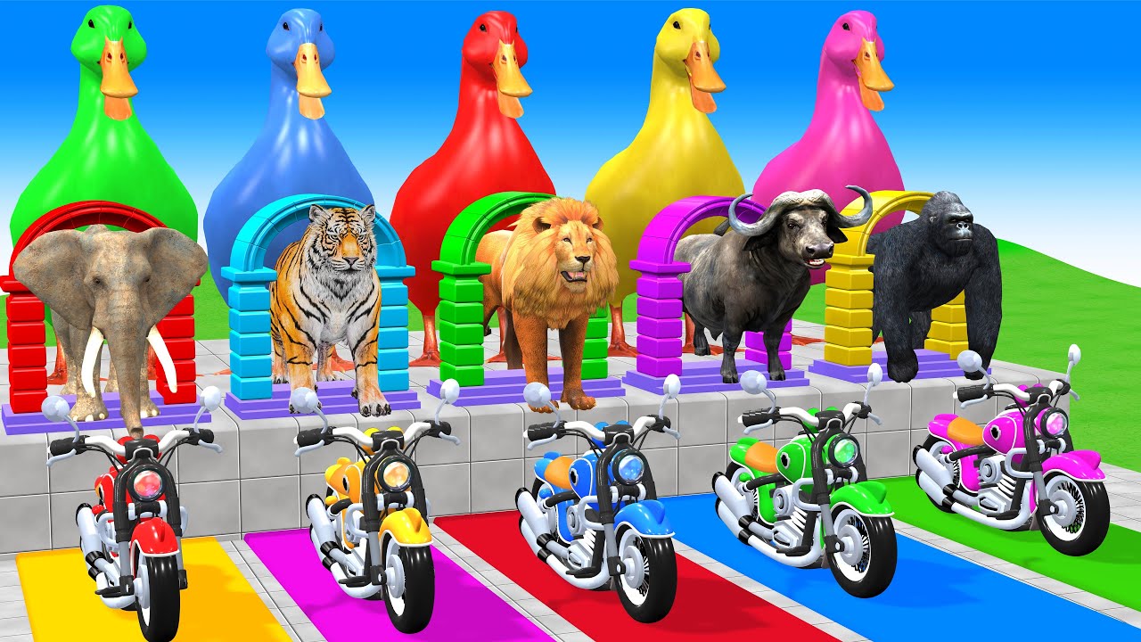 Long Slide Game With Gorilla Bufallo Lion Tiger Elephant - 3d Animal Game - Funny 3d Animals