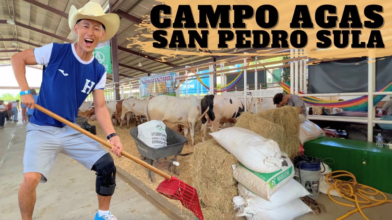 Fui a la fiesta MÁS GRANDE de ganados en Honduras | Campo Agas, San Pedro Sula