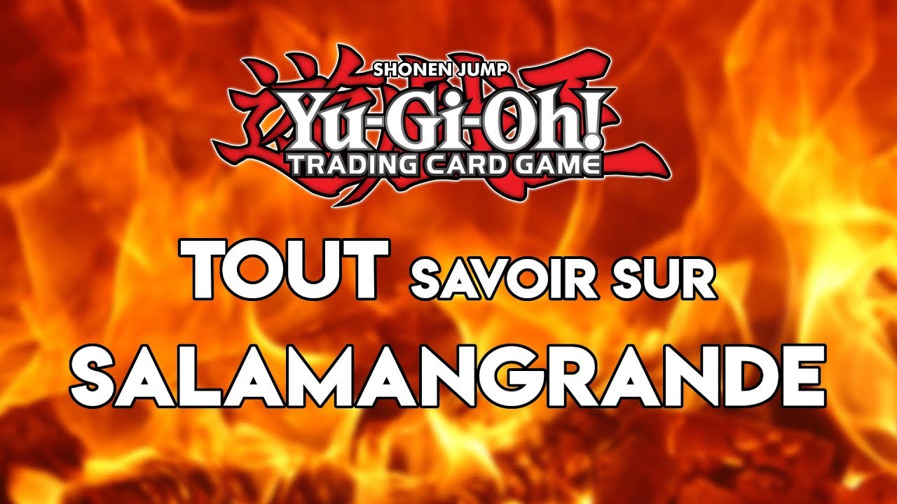 Yu-Gi-Oh! Salamangrande Pour Les Nuls (Combo + Decklist Compétitive)