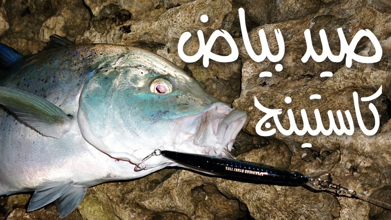 صيد بياض كاستينج