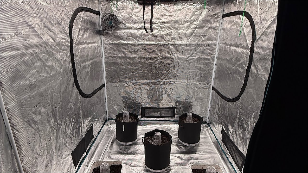 Mars Hydro 5x5 Tent FC-E6500 Light with 6 inch Inline Fan Seed To Harvest Ep.1