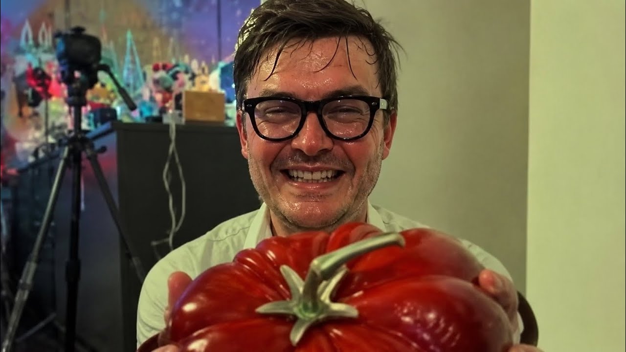 влог
