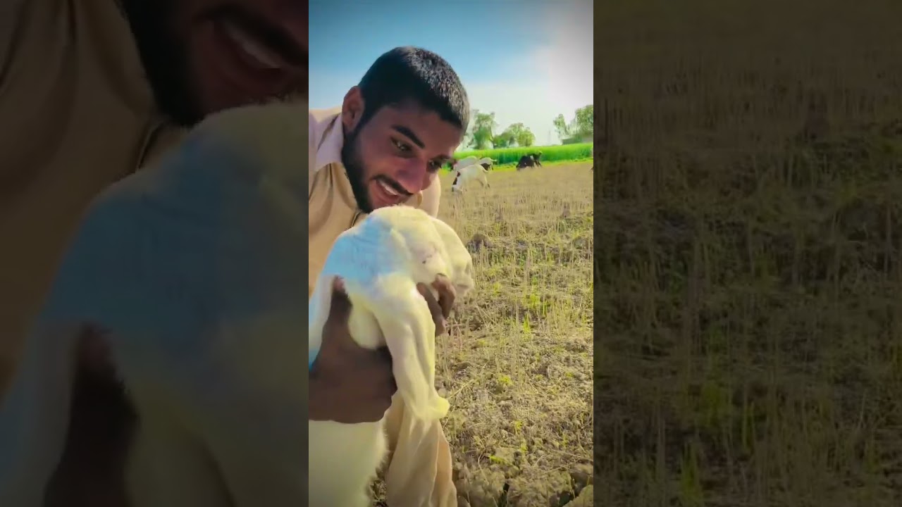 #funny😀😃fullvideo😀😃