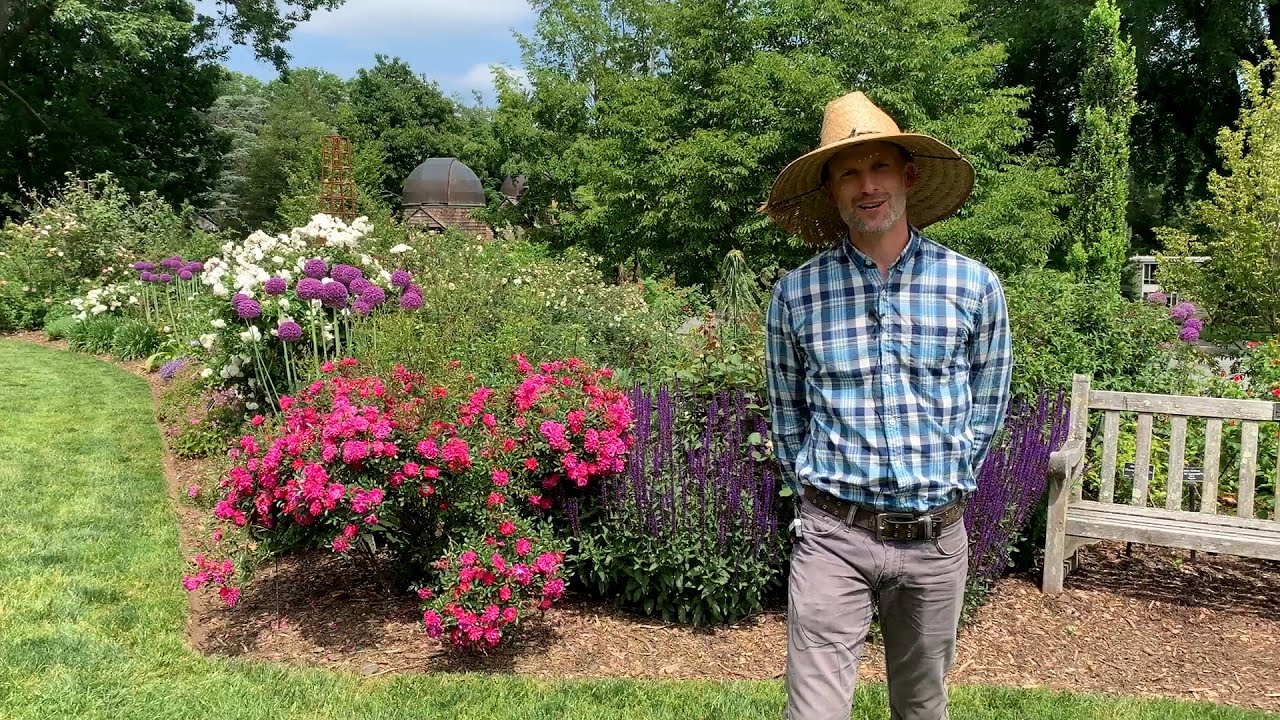 Lunchtime Tour: Dean Bond Rose Garden