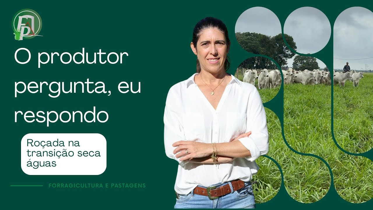 RO&Ccedil;ADA DE PASTO NA TRANSI&Ccedil;&Atilde;O SECA &Aacute;GUAS 