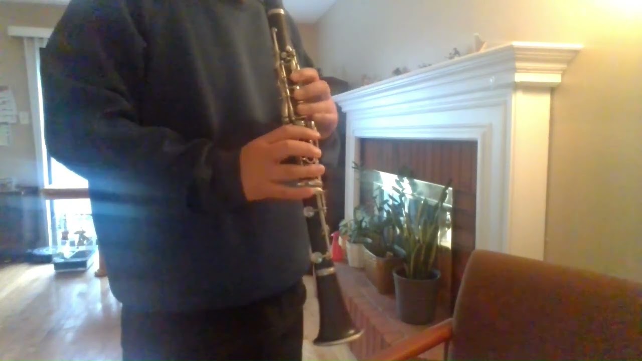 For sale: Professional Buffet Crampon Bb Clarinet #1229xx, Golden Era 1971. All new pads, new case.