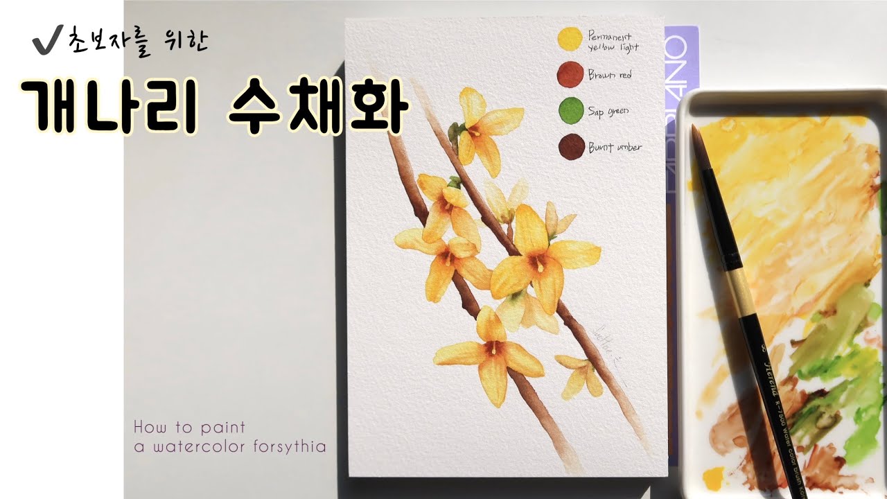 [ENG] 개나리 수채화-초보자를 위한 튜토리얼🌼| Watercolor Painting Tutorial