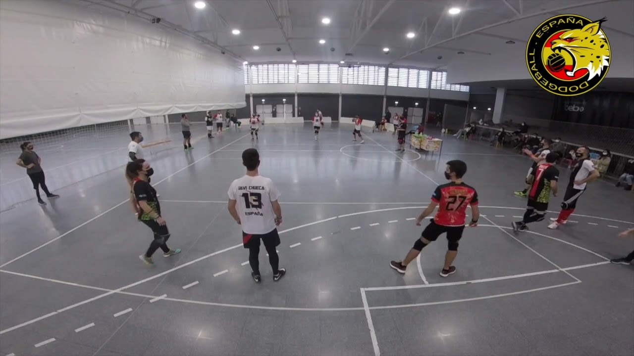 ESCARABAJOS PELOTEROS vs RHINOS 1ª Jornada II Liga de Dodgeball de España