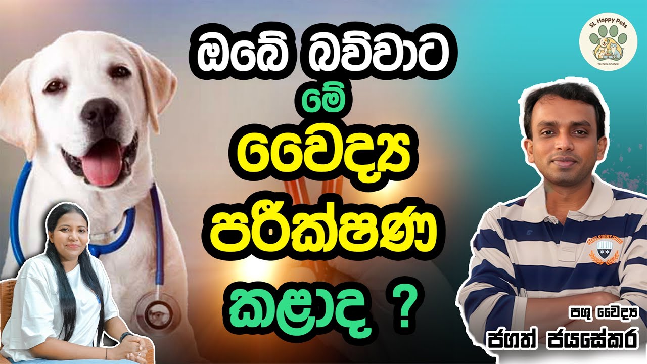 ඔබේ බව්වාට මේ වෛද්‍ය පරීක්ෂණ කළාද ?