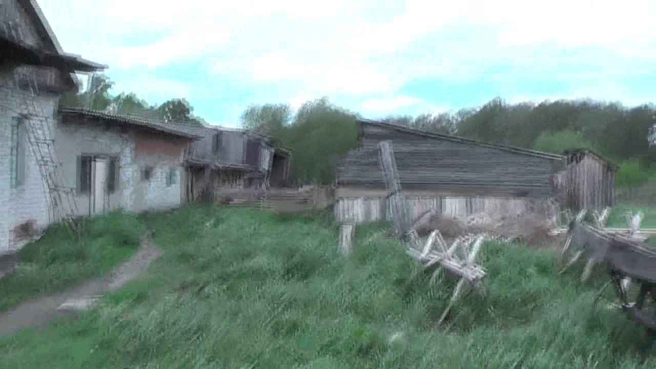 Осмотр домов Никиты  и Володи и огорода. Июнь. 2017