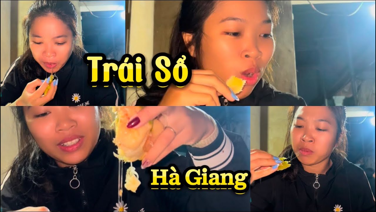 Trái Sổ vùng cao - #dauxunghe #thithu 
