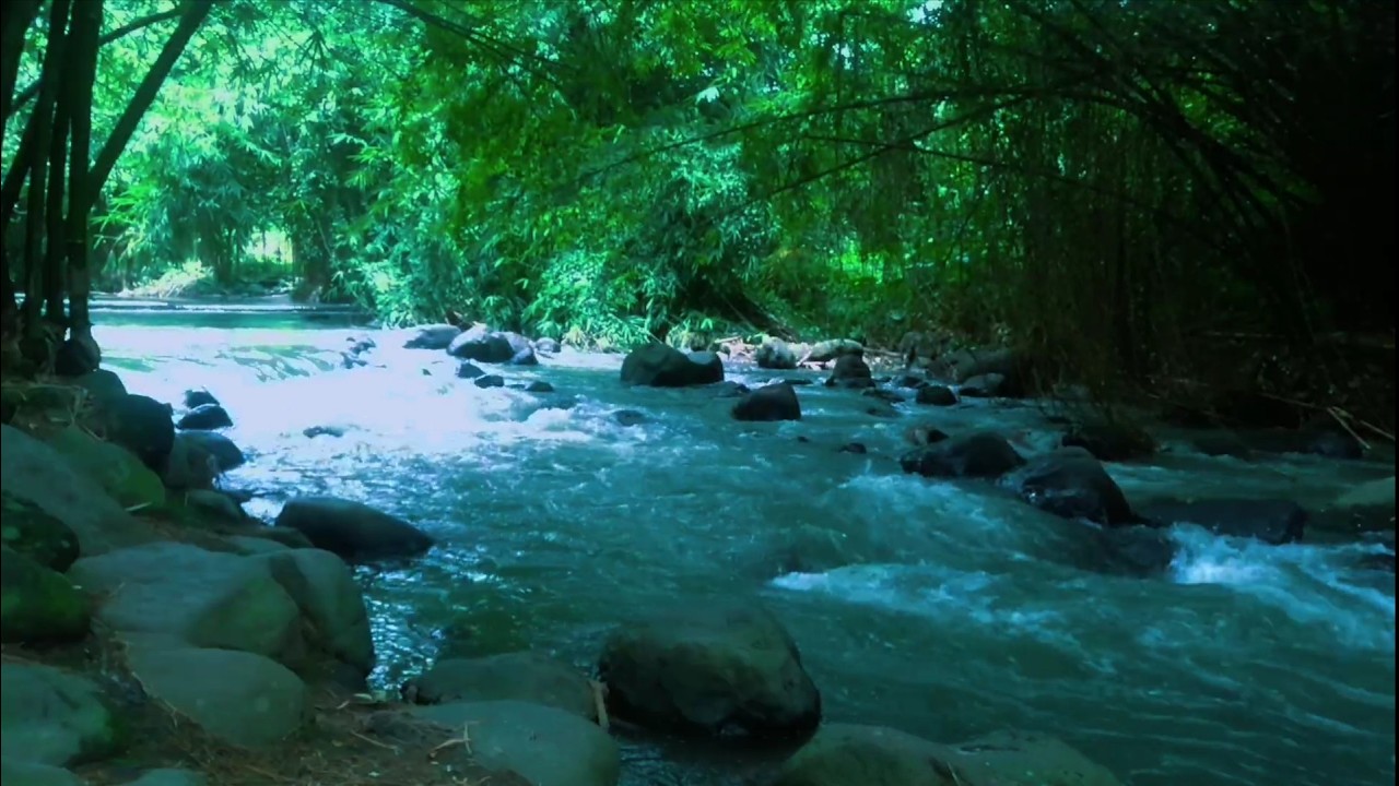 Beautiful Relaxing River  Nature Sounds Sleep Meditation Study Stress Relief Mindfulness