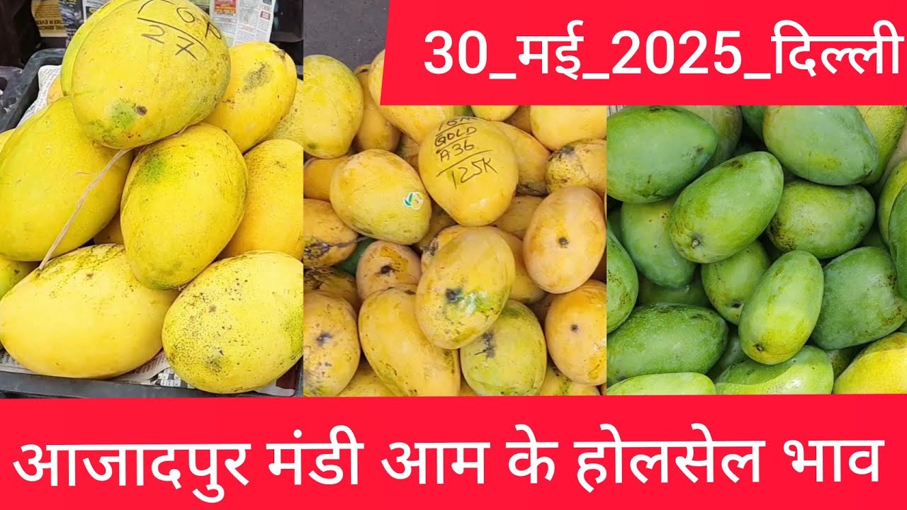May 30, 2025 दिल्ली 🥭 आम के भाव Azadpur delhi mandi today mango market price fruitmarket #mangoprice