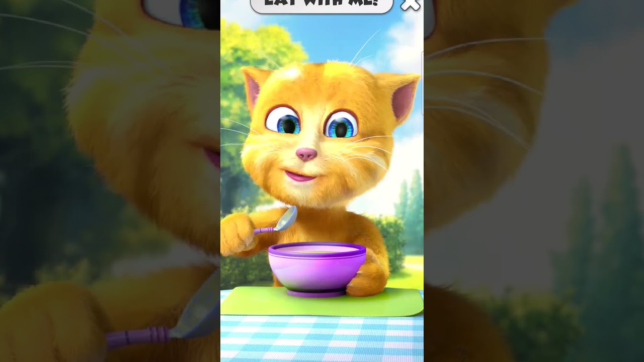 Talking Ginger Eating Soup 🍲😋😻