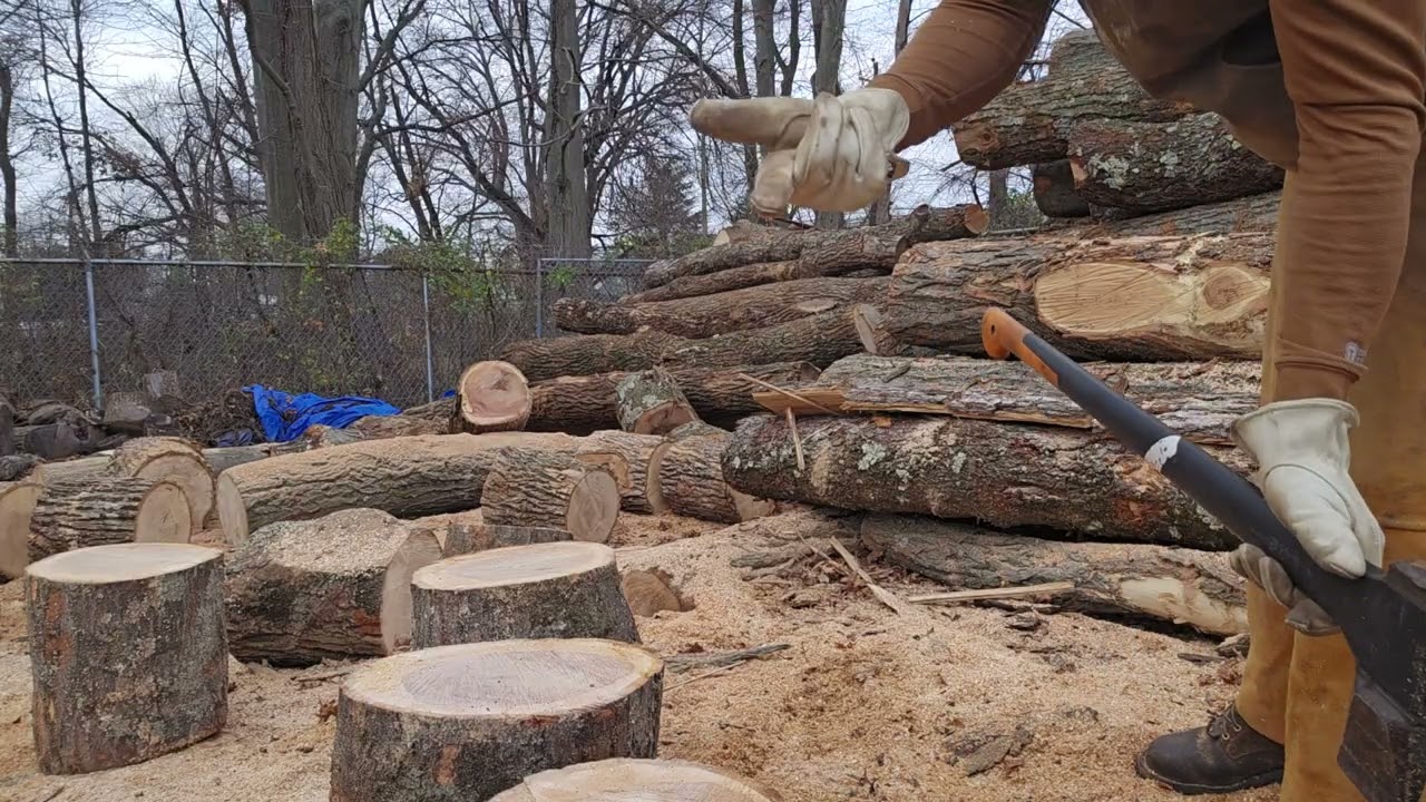 Splitting green red oak to prove its not as hard as some people think it is