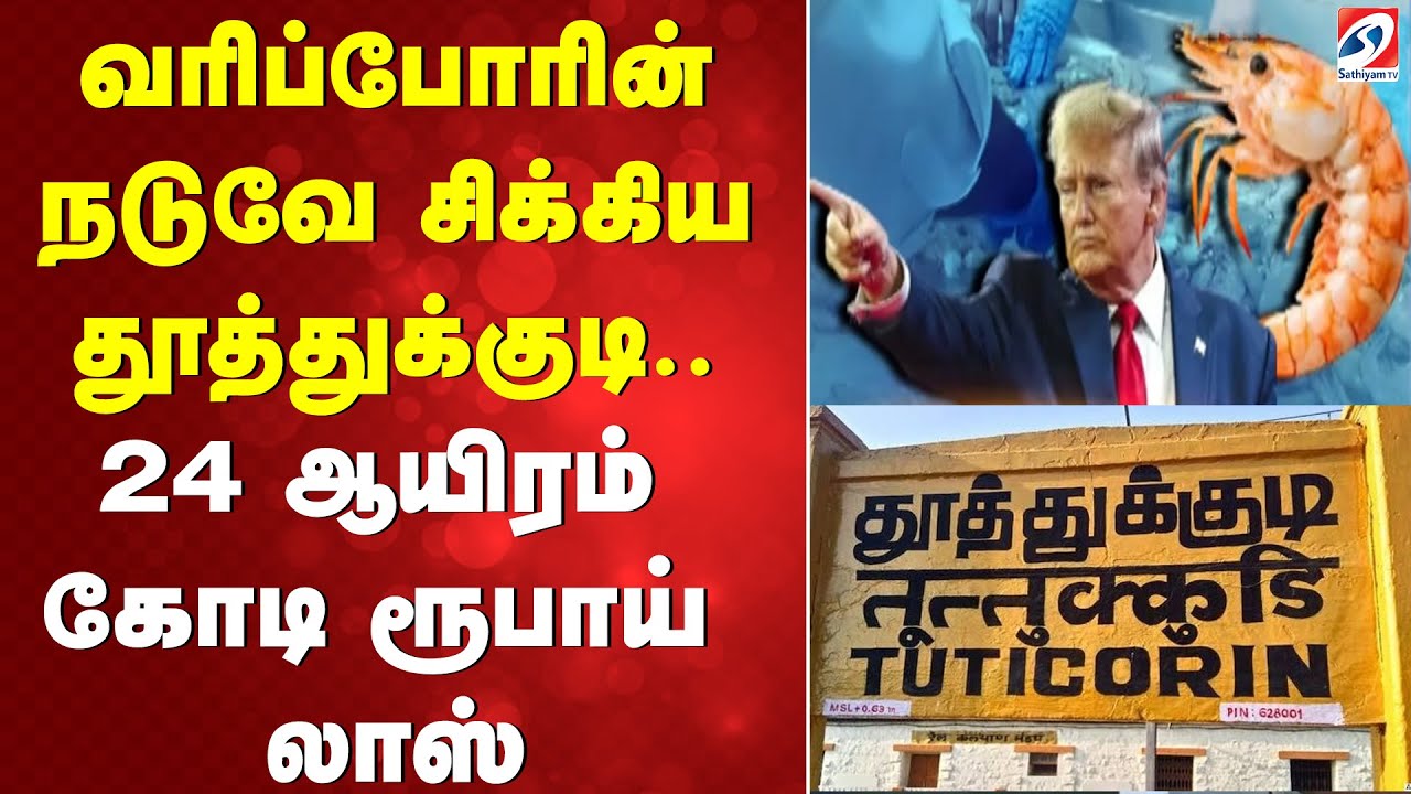 வரிப்போரின் நடுவே சிக்கிய தூத்துக்குடி.. 24 ஆயிரம் கோடி ரூபாய் லாஸ்