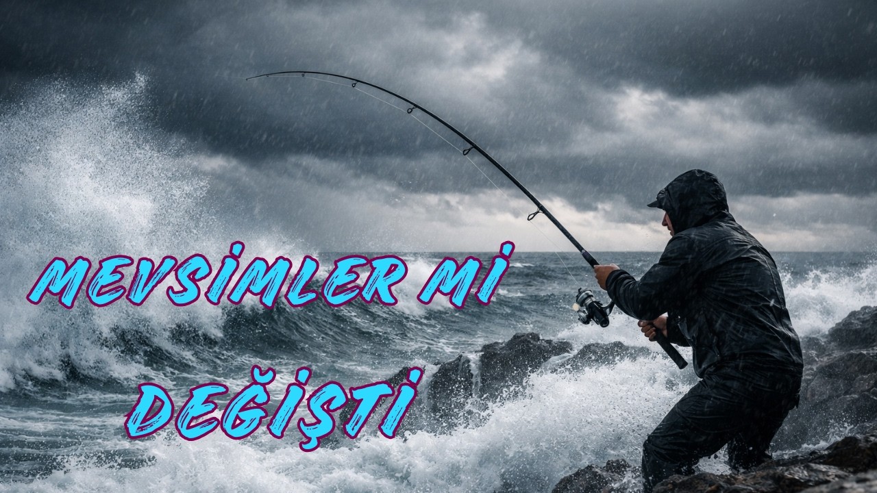 Fırtınalı ve Dalgalı Havalarda Neden Balık Tutamıyorsun? | Zor Avın Şifreleri #fyp #shorts #fishing